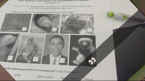 Michigan school that passed 'anti-racism resolution' suspends teacher for worksheet comparing Obama to monkeys