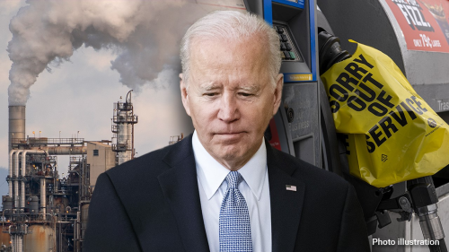 Energy groups sue Biden admin for failing to hold oil, gas lease sales again