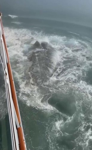Video shows Norwegian Cruise ship hit iceberg: 'Titanic 2.0'