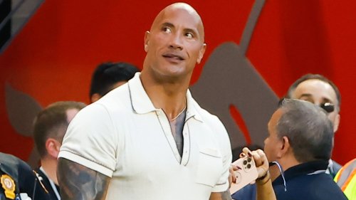 The Rock surprises fan with picture after she waited for nearly 3 hours: 'I just don’t believe it'