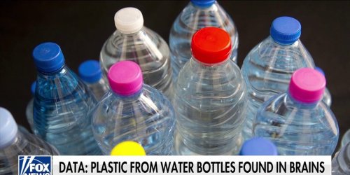 Study shows increasing link between microplastics and dementia