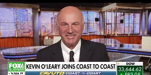 Kevin O'Leary: Canada is the richest country on earth run by idiots | Fox Business Video