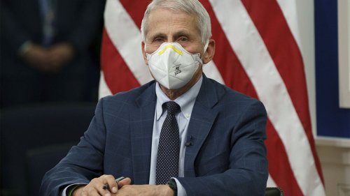 Fauci and wife's net worth increased by $5M during the pandemic, analysis finds