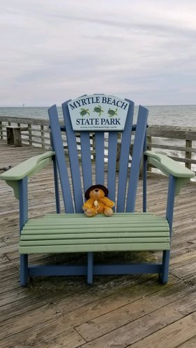 Stuffed bear goes on fun adventure at state park after 5-year-old boy accidentally leaves it behind