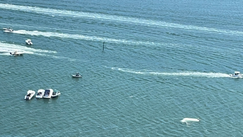 Catamaran Capsizes At Florida Boat Race; 7 Rescued | Flipboard