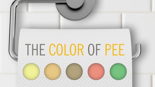 What the color of your urine reveals about you