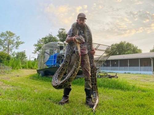 Florida snake hunter catches 17-foot python after bloody battle