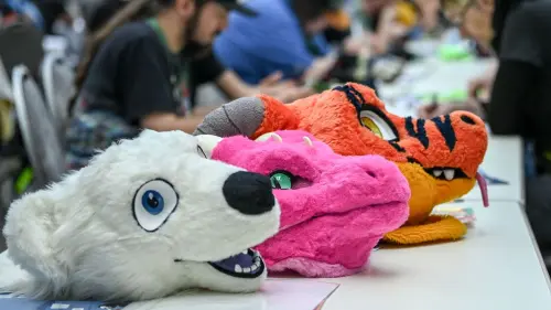 Furry fury as convention goes 18+ in reaction to DeSantis law: 'Heartbreaking'