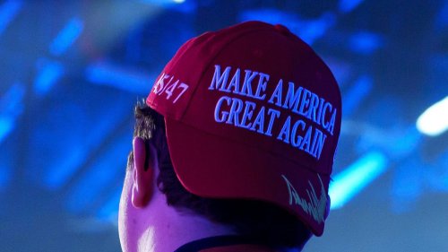 DC matchmaker says political polarization 'on steroids' as liberals refuse to date Trump voters, Tesla owners