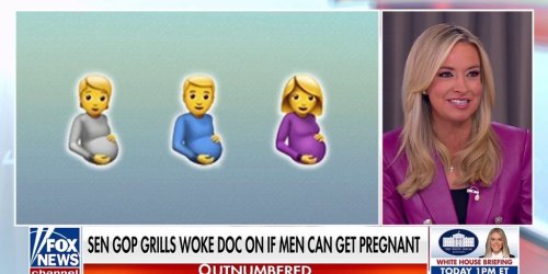 Doctor grilled on whether men can get pregnant during Senate hearing