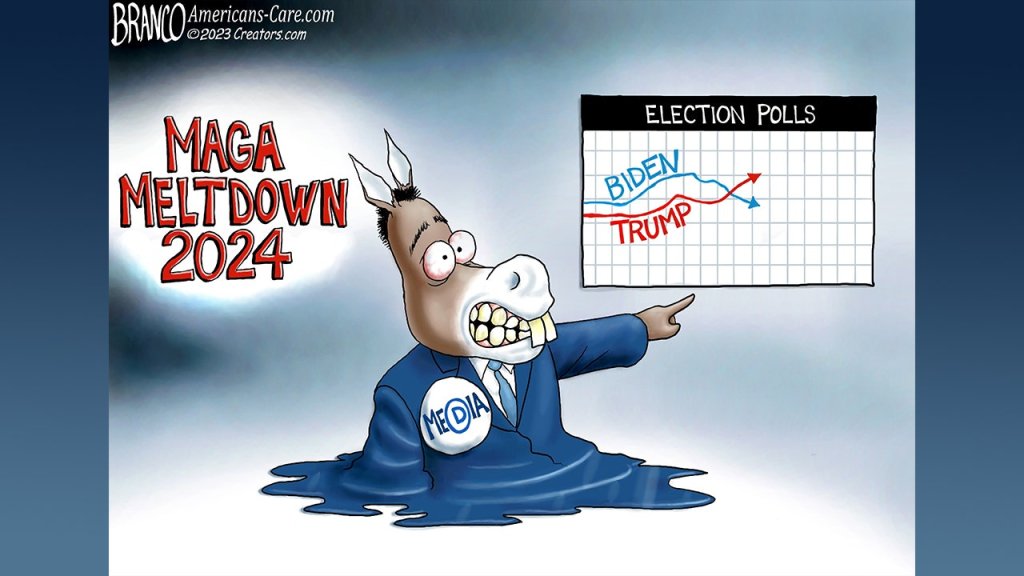 Political Cartoons  - cover