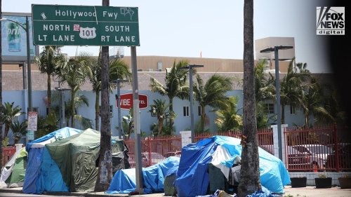 Los Angeles business owner blasts 'Baby Shark' on repeat to ward off homeless encampments