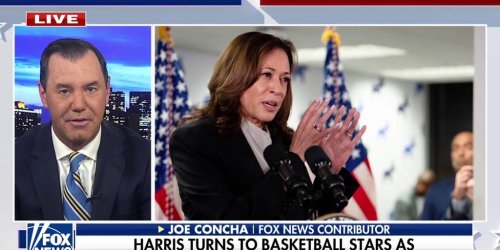 VP Harris ripped for lacking 'authenticity' in new podcast interview: 'Only word that comes to mind is cringe'