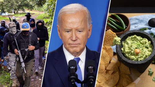 Love avocados? Biden admin caving to Mexican cartels could have devastating impact on wildly popular fruit