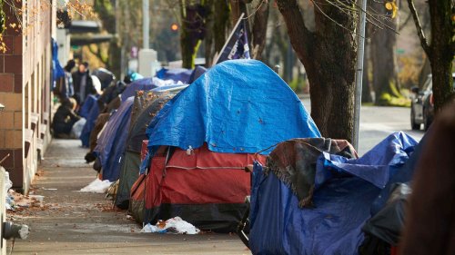 Portland homelessness crisis spirals out of control: 'This is their vision of utopia'
