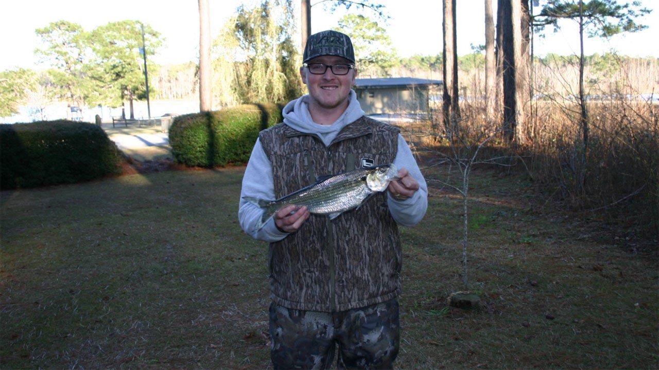 Georgia angler breaks 25-year-old fishing record for hickory shad