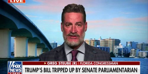 One unelected person shouldn't decide what stays in the 'big, beautiful bill,' Florida congressman says