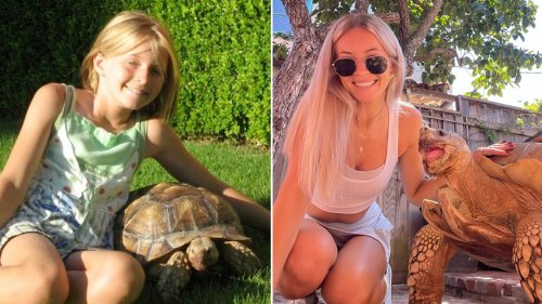 California woman goes viral for 22-year friendship with tortoise she received for Christmas as a child