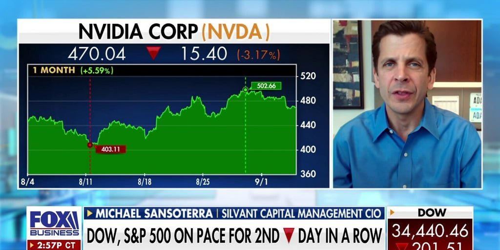 NVIDIA is still the place to be: Michael Sansoterra | Fox Business Video