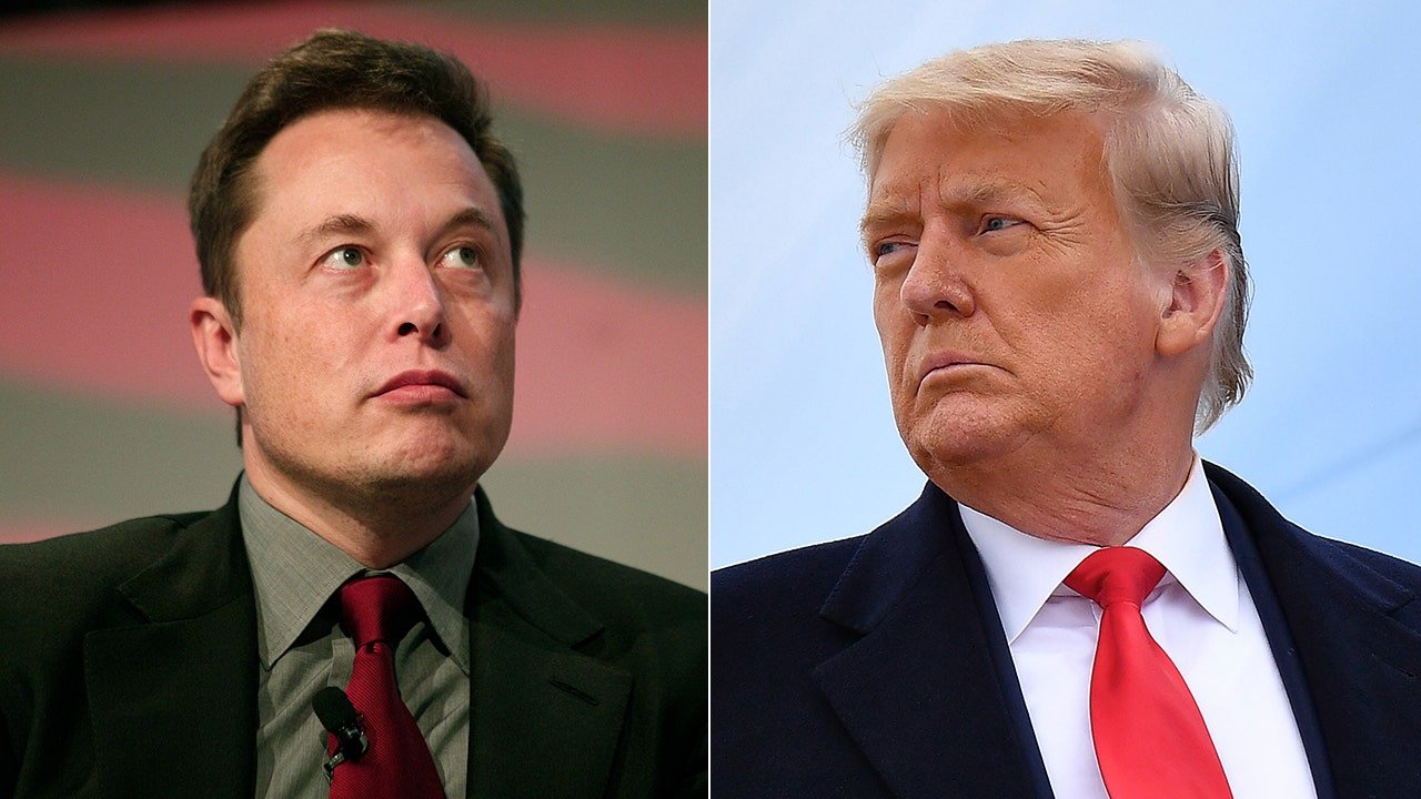 Elon Musk says Trump will be reinstated to Twitter after more than 15 million users voted in poll