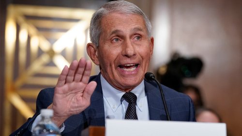 Senator publishes Fauci's unredacted financial disclosures, accuses him of being misleading