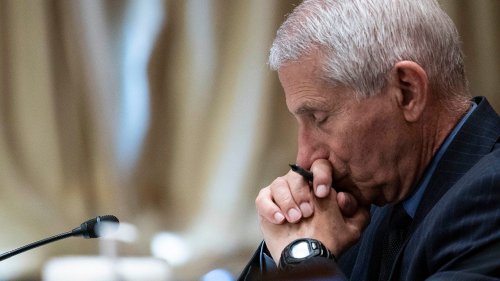 Fauci obliterated by critics for charging up to $100K for speaking engagements: 'The audacity of this man'