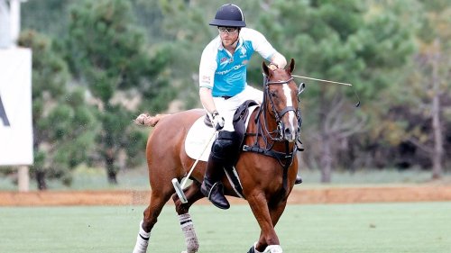 Prince Harry is treated like ‘one of the guys’ at polo matches in Santa Barbara: source