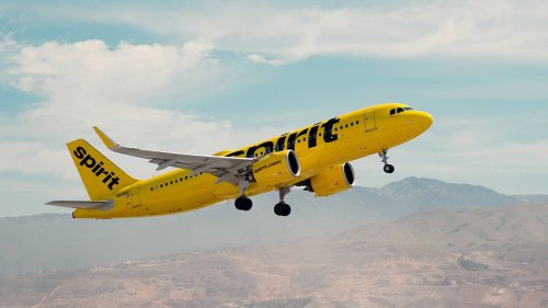 TikTok creator's Spirit Airlines campaign racks up more than $335M in pledges