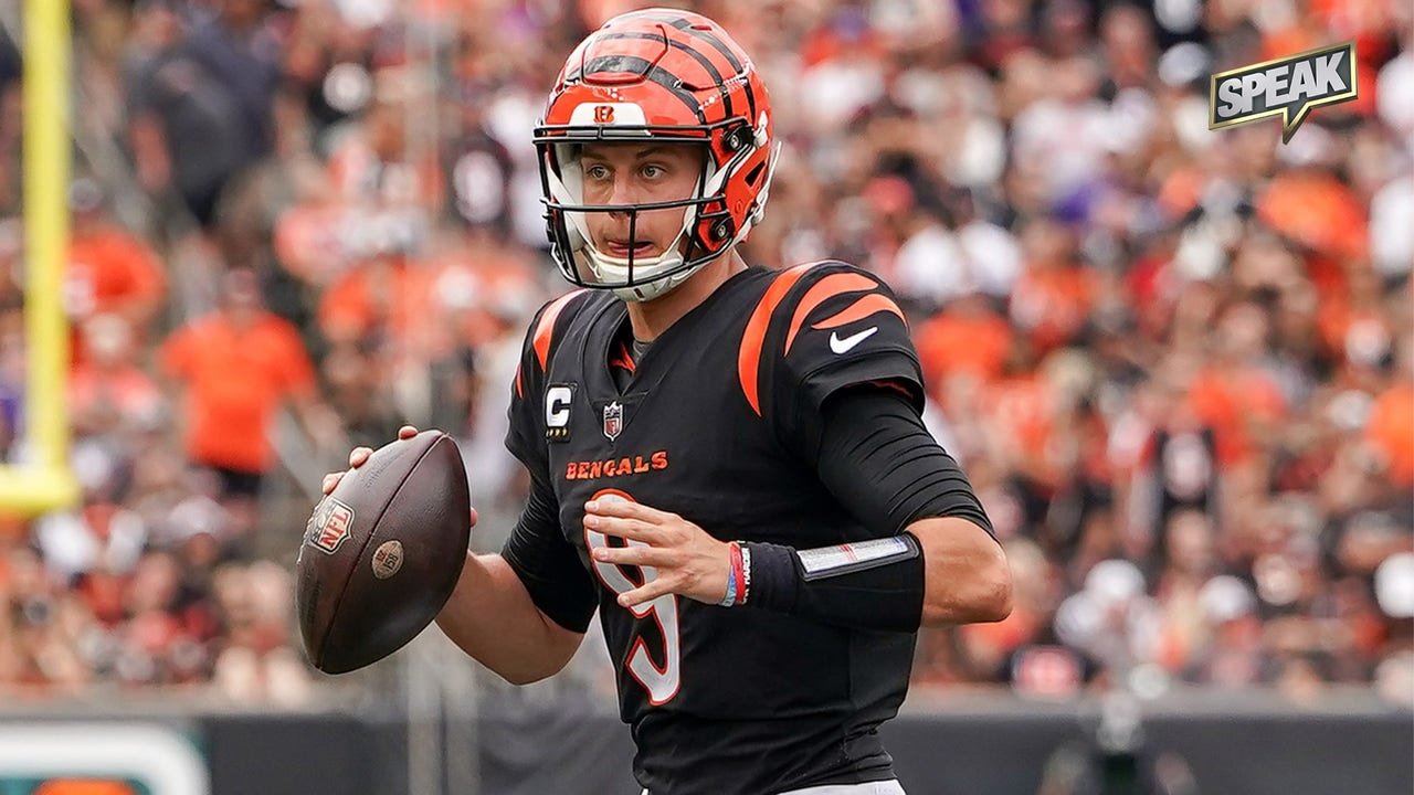 Sheriff: Man facing charges after fight at Bengals game captured in viral  video