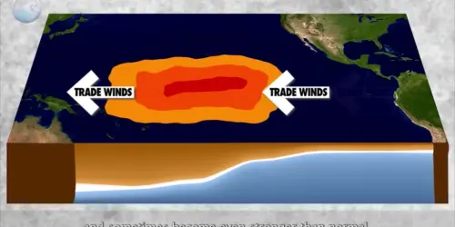 El Nino appears to be on verge of rapid collapse