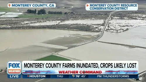 California crops lost after floods, how much of the US will feel the shortage?