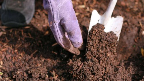 Augen auf bei der Gartenarbeit: Warum Sie mit Spitzhacke und Spaten ganz vorsichtig umgehen sollten