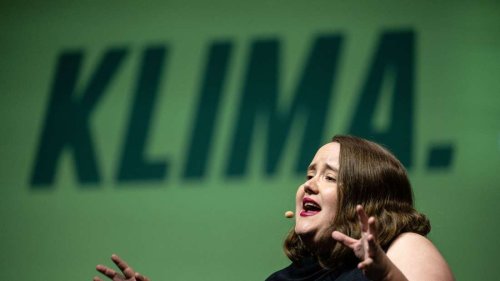 Heizungsstreit: Grünen-Vorsitzende will Umfragen ausblenden