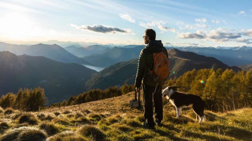 Wanderausflug mit dem Hund: So sind Herrchen und Ihr Vierbeiner perfekt vorbereitet