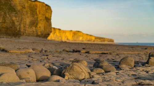 Bube (9) entdeckt 200 Millionen Jahre altes Fossil am Strand