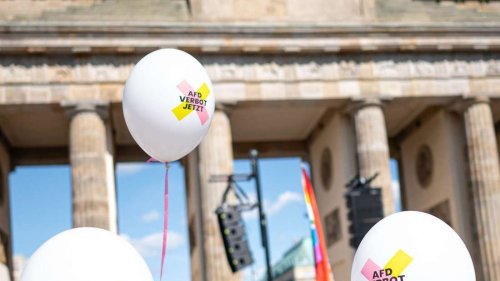 Tausende gehen für AfD-Verbot auf die Straße