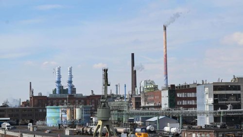 Kein Verständnis für Bayer