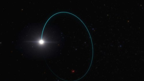 „Extrem nah“ an der Erde: Schwarzes Loch in der Milchstraße entdeckt – „Niemand hat damit gerechnet“