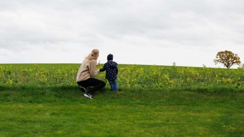 Wenn der Ex-Partner stirbt: Wer Anspruch auf Erziehungsrente hat