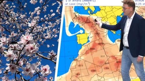 Saharastaub und Sommerwärme: Frühling in Rheinland-Pfalz zeigt sich von ungewöhnlicher Seite