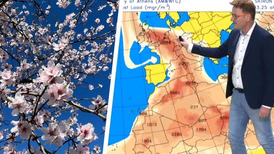 Saharastaub und Sommerwärme: Frühling in Rheinland-Pfalz zeigt sich von ungewöhnlicher Seite