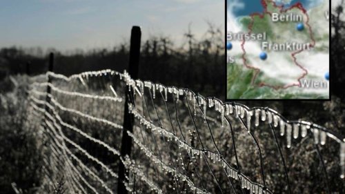 Eisheilige im Mai 2025: Meteorologen mit konkreter Kälte-Vorhersage für Bayern