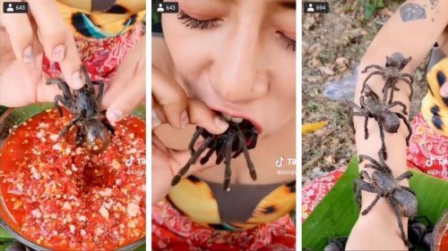 User ekeln sich vor Video: Frau verspeist lebendige Taranteln – „schluck‘s halt runter“
