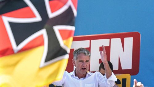Zwischen Meinungsfreiheit und Verfassungsfeindlichkeit: Chancen und Risiken eines AfD-Verbots