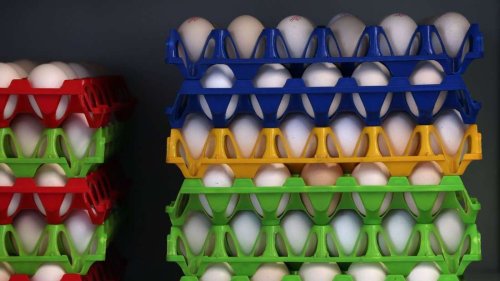 Eier-Verbrauch in Deutschland deutlich gestiegen