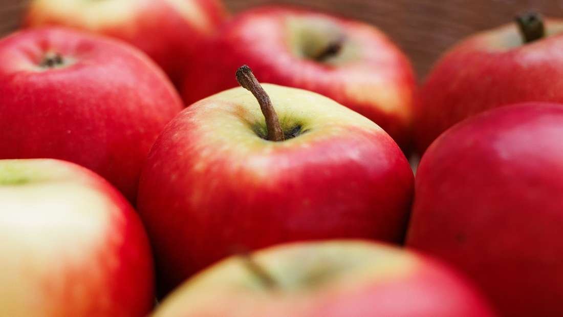 Apfel für Allergiker soll im Herbst in Supermärkte kommen