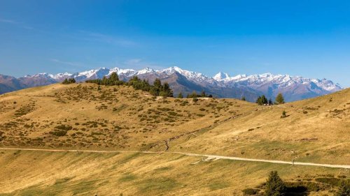 Tragischer Fund: Deutsche Wanderer entdecken Leiche in Wald in Südtirol