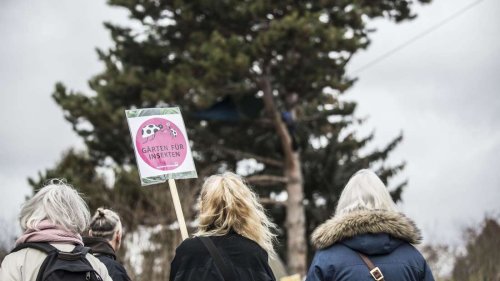 Bewegung bei Plänen für Areal am Günthersburgpark in Frankfurt