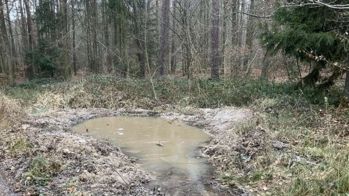 Waldmanagement mit Sickermulden