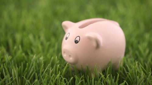 Fehler beim Gärtnern: Mit fünf Tipps sparen Sie Geld